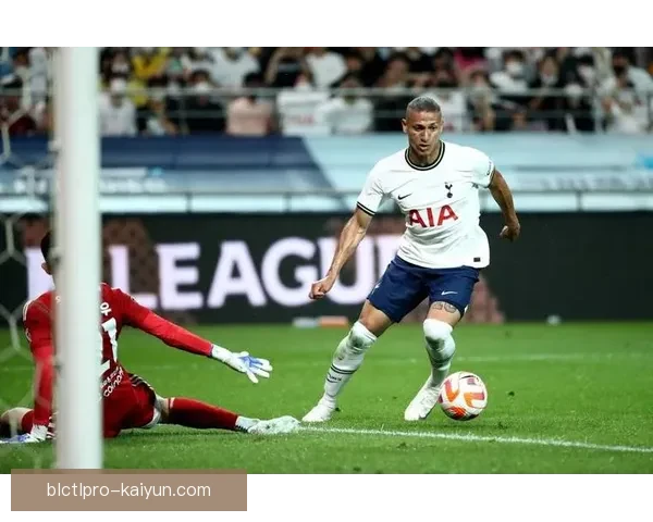 理查利森与凯恩搭档后球队竞争力增强，期待新赛季发挥稳定