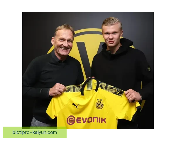 德甲球员转会盘点：新赛季阵容调整与市场动态分析