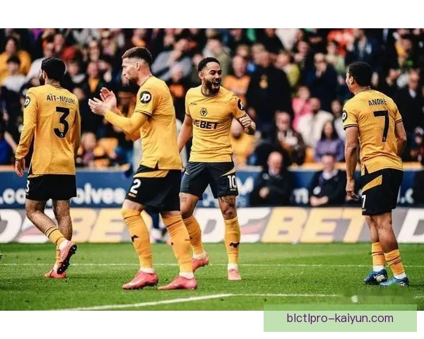 赖斯战术体系适配性分析：中场核心作用与球队攻防协同表现